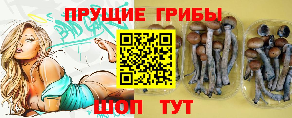Галлюциногенные грибы ЛСД  Вход с VPN  Протвино 