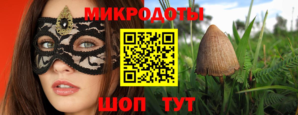 Галлюциногенные грибы Psilocybine cubensis Протвино